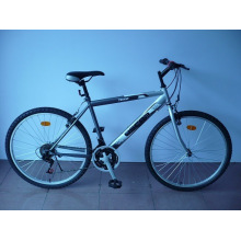 26 &quot;Stahlrahmen Mountainbike (CZ2603)